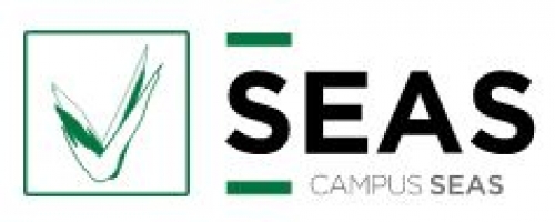SEAS, Estudios Superiores Abiertos
