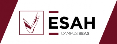 ESAH Estudios Superiores Abiertos de Hostelería